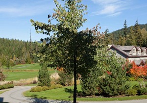 Whistler - Blackcomb Greens 35