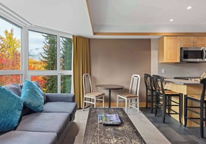 Whistler - Le Chamois - 1 Bedroom #311