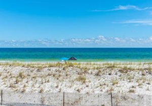 White Sands 449