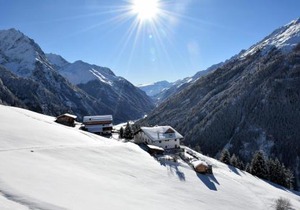 Wiesenhof