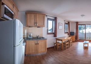 Wifi, ski-in/ski-out & foot of the slopes, fitness, swimming pool, terrace, balcony, parking, tv