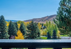 Wildflower Condo 671 - Beautiful Sun Valley Resort Condo For 8 Guests