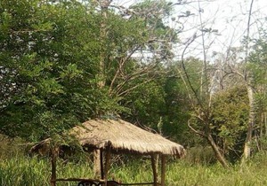Wilpattu Buma