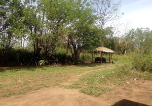 Wilpattu Buma