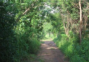 Wilpattu Holiday Home