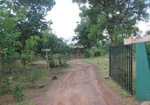 Wilpattu Holiday Home