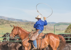 Wilson Ranches Retreat