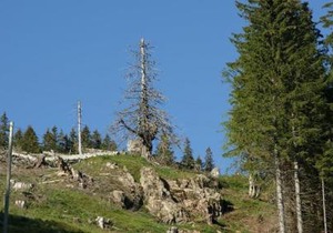 Wohnpark Schwarzwaldblick Bernau