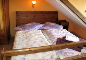 Wohnung Horakova 110W
