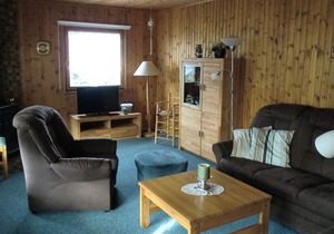 Wooden bungalow with oven, in Oberharz near a lake
