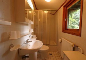Wooden bungalow with oven, in Oberharz near a lake