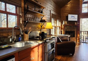 Wren’s Den | Cozy Cabin w/Fireplace + Jetted Tub + Biltmore Pass