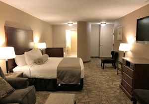 Wyndham Garden Arlington/Marysville