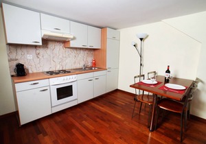 ZH Limmat 5 - HITrental Apartment