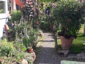 Zimmer Frei
