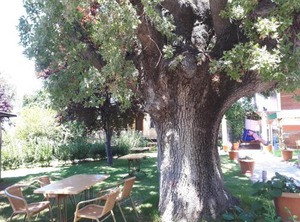 Ören Konak Otel | Oren Mahallesi