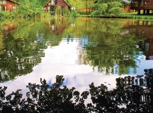 Accommodation Forest Of Dean | Lydney