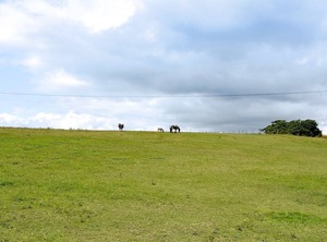 Accommodation Totland Freshwater | Totland Bay