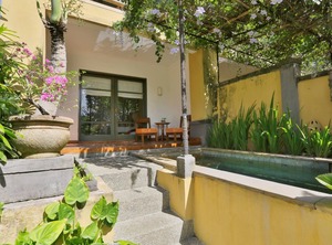 Br Villa Plunge Incl Breakfast | Penatih