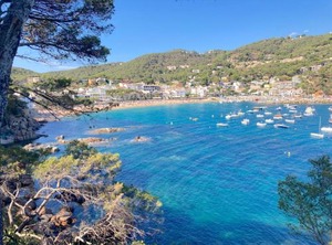 Mar Sol | Llafranc