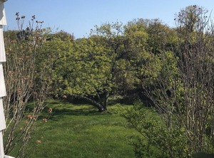 Ditch Plains Beach | Montauk