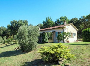 Sughera | Montorsaio