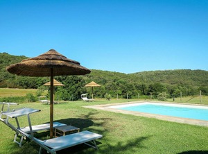 Sughera | Montorsaio