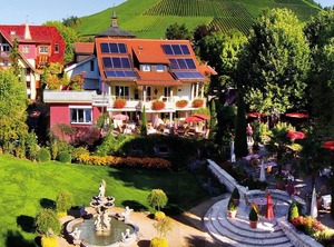Rebstock Durbach Lhs | Durbach
