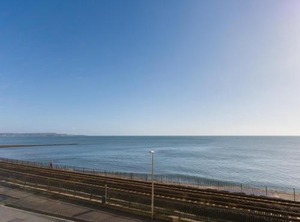 Cliff | Dawlish