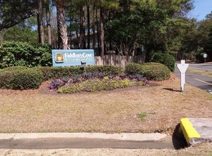 Fiddlers Hilton Head | Folly Field