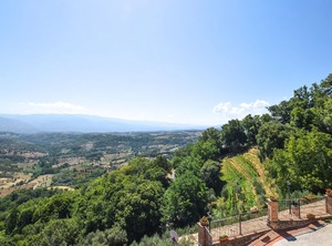 Palmi | Palmi