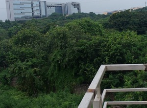 Shilparamam | HITEC City