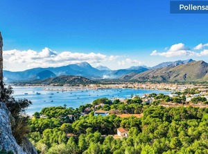 Malanyona | Alcudia