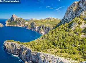 Malanyona | Alcudia