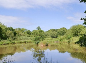 Accommodation Bridestowe Okehampton | Okehampton