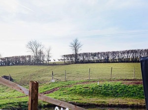 Accommodation Tiverton | Tiverton
