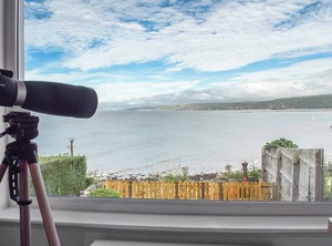 Accommodation Gilfachrheda Quay | New Quay