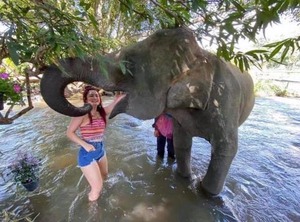 Pok Maewang Jinxiang Gold Elephant Park | Mae Wang