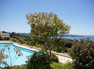 Katikias | Bandol
