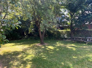Scarborough Tce | Hanmer Springs