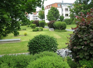 Kamelienweg | Laubegast