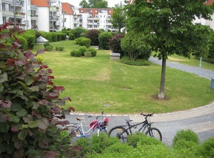Kamelienweg | Laubegast