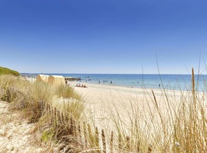 Les Pins | Carnac