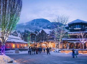 Snowgoose | Blackcomb