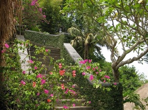 Cepaka Villa Feature Garden Tabanan | Cepaka