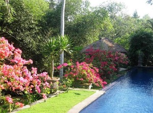 Cepaka Villa Feature Garden Tabanan | Cepaka