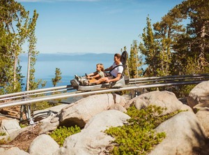 Pine Grove | South Lake Tahoe