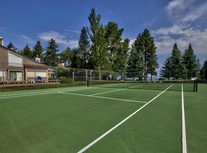 Pine Grove | South Lake Tahoe
