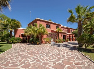 Adelfa | Javea