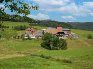 Mittelberghof | Hofstetten